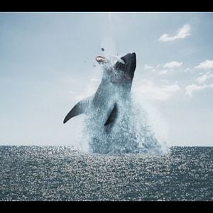 Foto O Demônio dos Mares