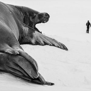 Foto Antártica: Continente Magnético