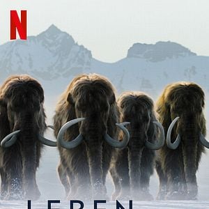 Foto A Vida no Nosso Planeta