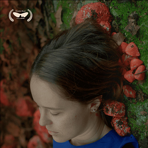 Foto Nina e o Abismo