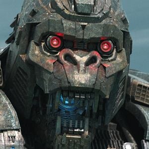 Foto Macaco vs. Máquina