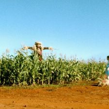 Foto Um Filme de Cinema
