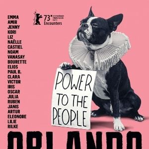 Foto Orlando, Minha Biografia Política