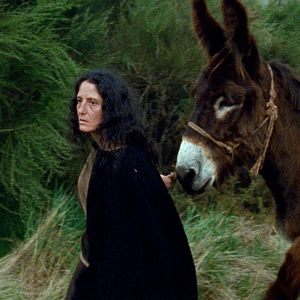 Foto Nuria Lestegás