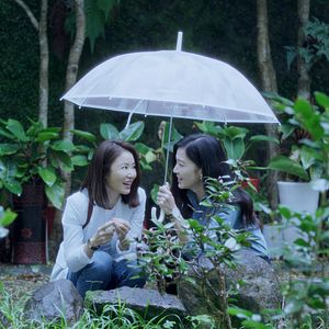 Foto Amor Aqui e Agora