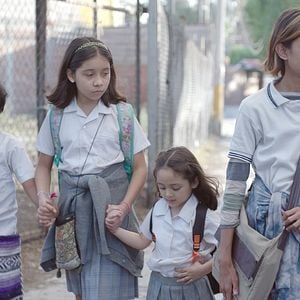 Foto Radical: Ensinamentos de Um Professor 