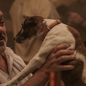 Foto Thierry Lhermitte