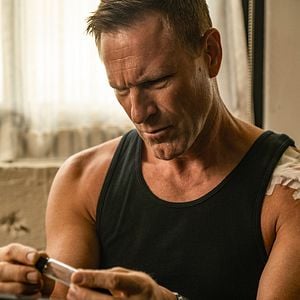 Foto Farejando Vingança