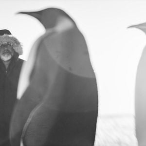 Foto Antártica: Continente Magnético