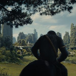 Foto Planeta dos Macacos: O Reinado