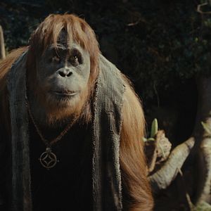 Foto Planeta dos Macacos: O Reinado