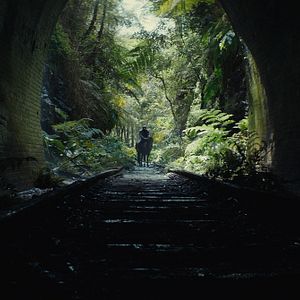 Foto Planeta dos Macacos: O Reinado