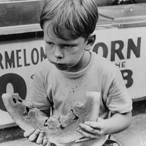 Foto O Pequeno Fugitivo