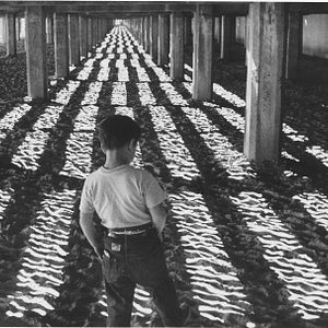 Foto O Pequeno Fugitivo