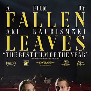 Foto Folhas de Outono