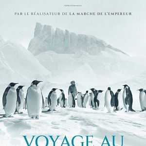 Foto Antártica: Continente Magnético