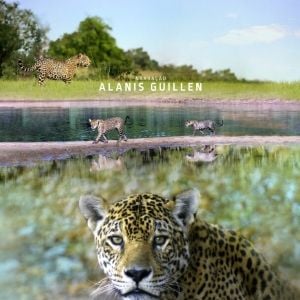 Foto Diário de uma Onça