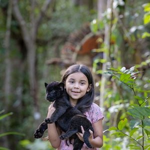 Foto A Última Onça Negra