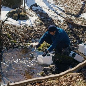 Foto O Mal Não Existe