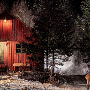 Foto Prancer: Um Conto de Natal