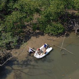 Foto A Era dos Humanos