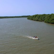 Foto A Era dos Humanos