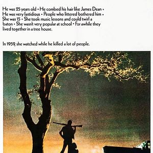 Foto Terra de Ninguém