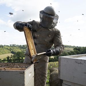 Foto Beekeeper - Rede de Vingança