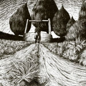 Foto A Greyhound Of A Girl