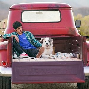 Foto Os Segredos do Universo por Aristóteles e Dante