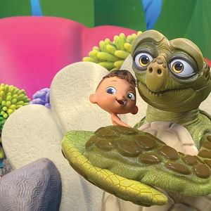 Foto O Menino Golfinho