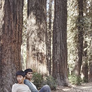 Foto Meus Irmãos Sonham Acordados