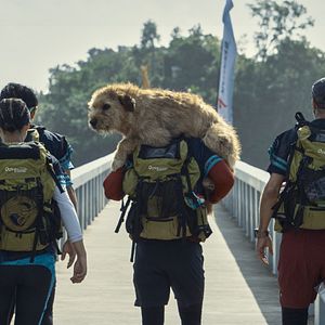 Foto Uma Prova de Coragem