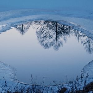 Foto O Mal Não Existe