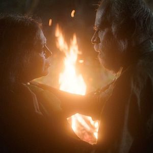 Foto Na Barriga de um Tigre