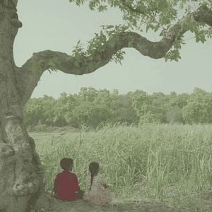 Foto Na Barriga de um Tigre