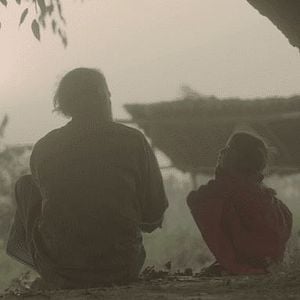 Foto Na Barriga de um Tigre