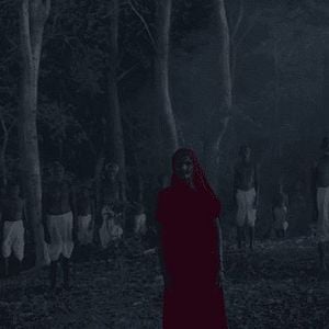 Foto Na Barriga de um Tigre