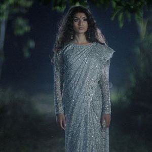 Foto Na Barriga de um Tigre