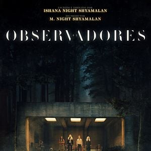 Foto Os Observadores