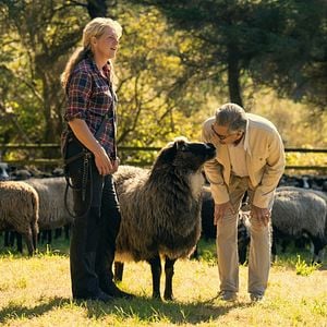Foto O Viajante Relutante com Eugene Levy