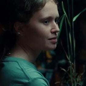 Foto A Dança dos Pássaros