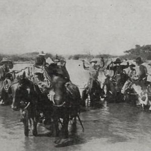 Foto Preito de um Foragido