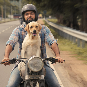 Foto Charlie: Um Cachorro Especial