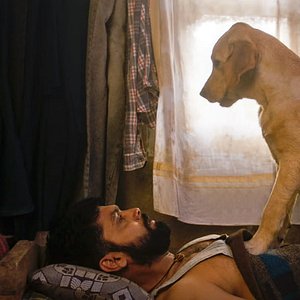 Foto Charlie: Um Cachorro Especial