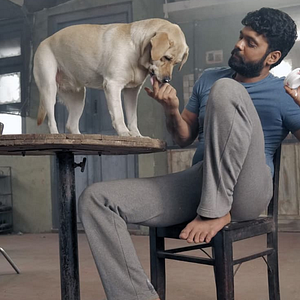 Foto Charlie: Um Cachorro Especial