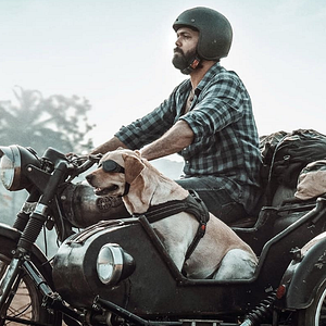 Foto Charlie: Um Cachorro Especial