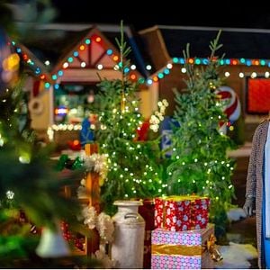 Foto O Anjo da Árvore