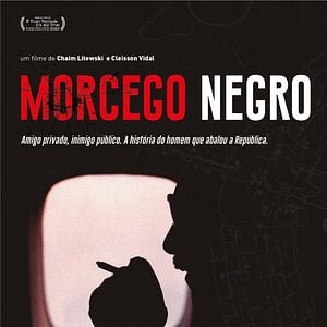 Foto Morcego Negro