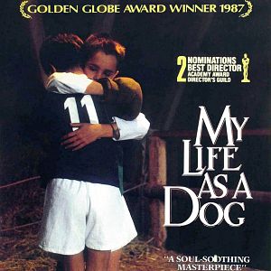 Foto Mitt liv som hund